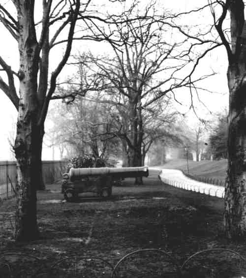 Photo showing the two cannons in the Arboretum